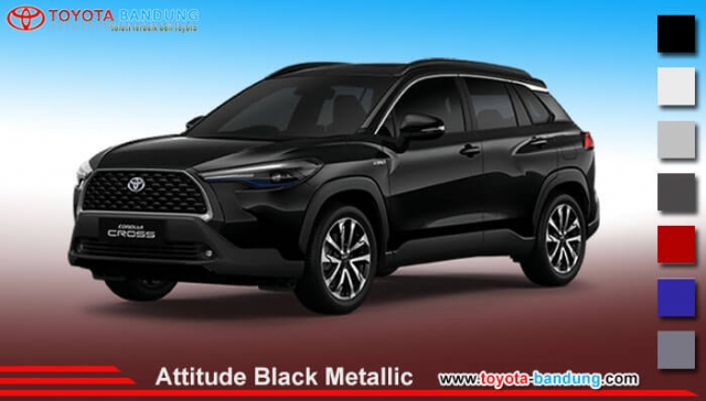 attitude-black-metallic
