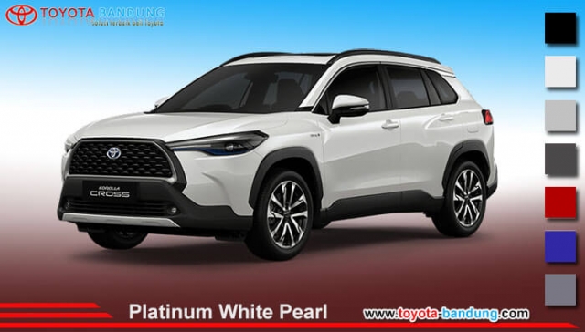 platinum-white-pearl